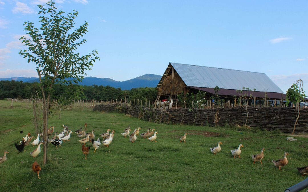 week end à la ferme