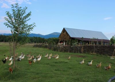 Week-end à la ferme